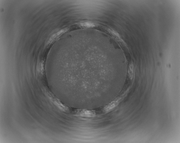 X0000085080330200703051440