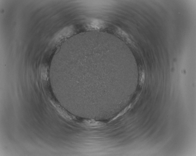 X0000085080331200703051440