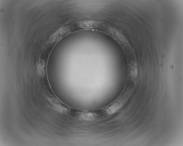 X0000085080332200703051440