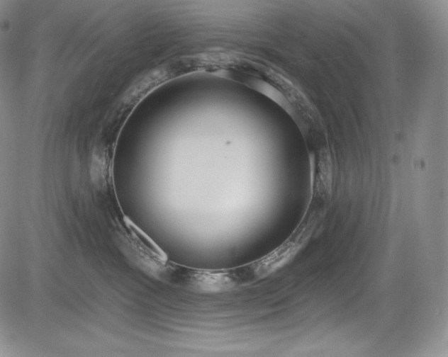 X0000085080333200703051440