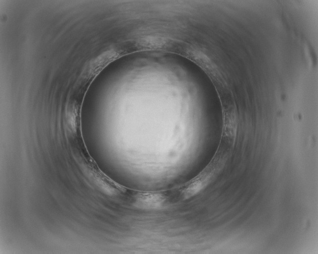 X0000085080334200703051440