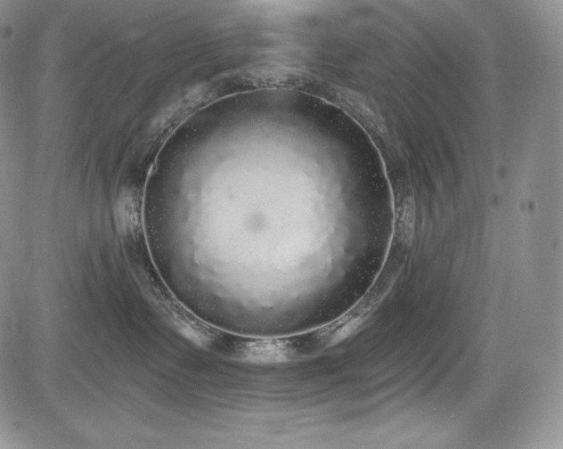 X0000085080335200703051440