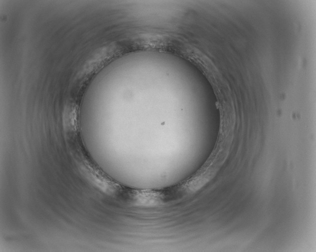 X0000085080336200703051440