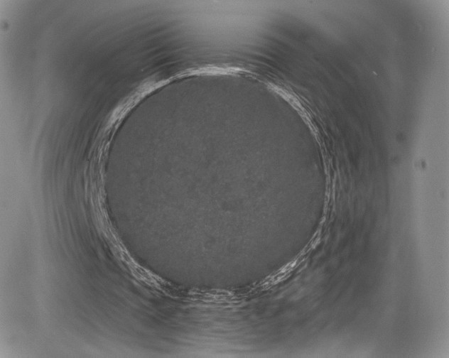 X0000085080337200703051439