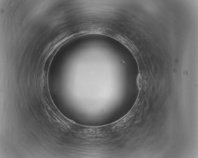 X0000085080338200703051439