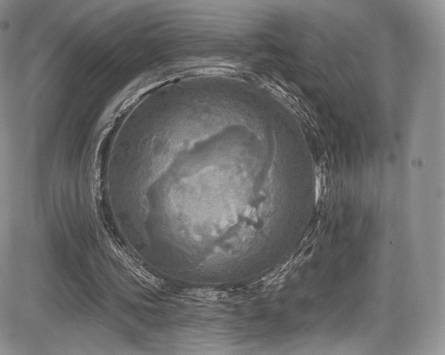 X0000085080339200703051439