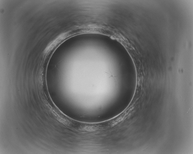 X0000085080341200703051439