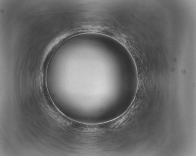 X0000085080342200703051439