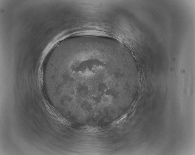 X0000085080343200703051439