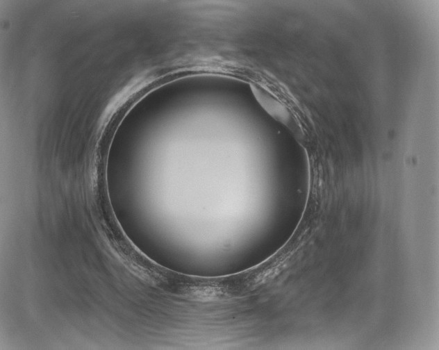 X0000085080344200703051439