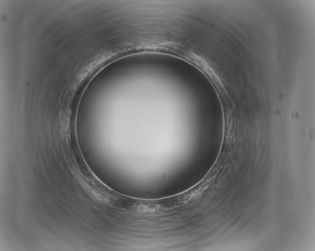 X0000085080346200703051439