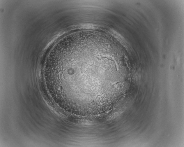 X0000085080347200703051439