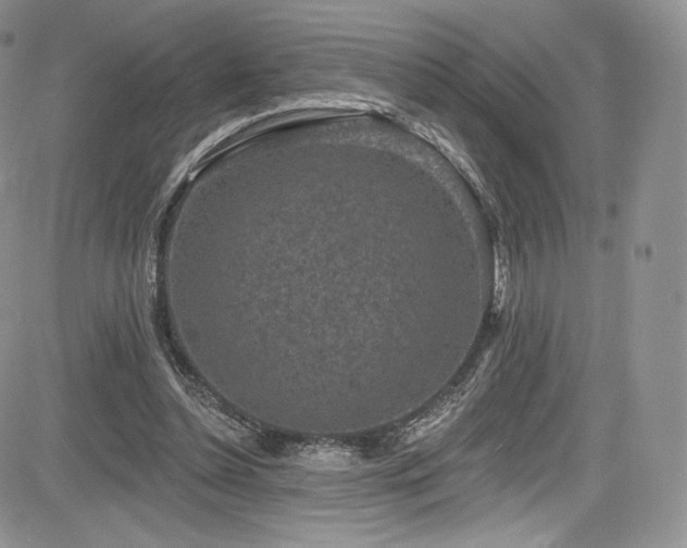 X0000085080348200703051439