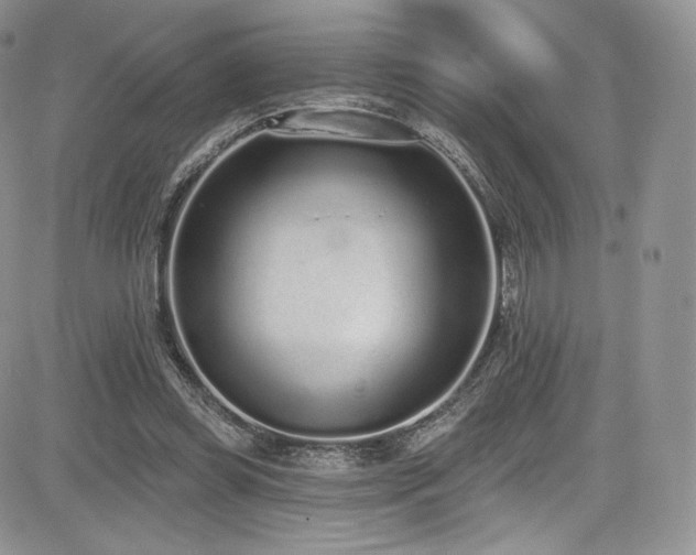 X0000085080349200703051439