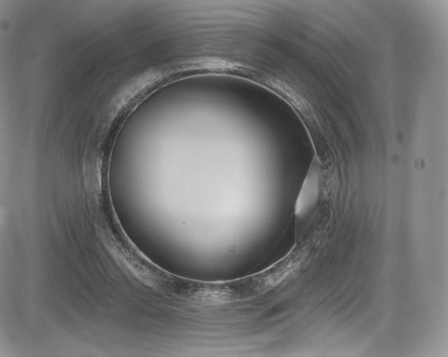 X0000085080350200703051439