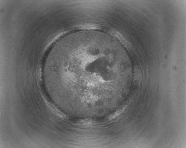 X0000085080351200703051439