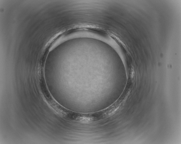 X0000085080352200703051439