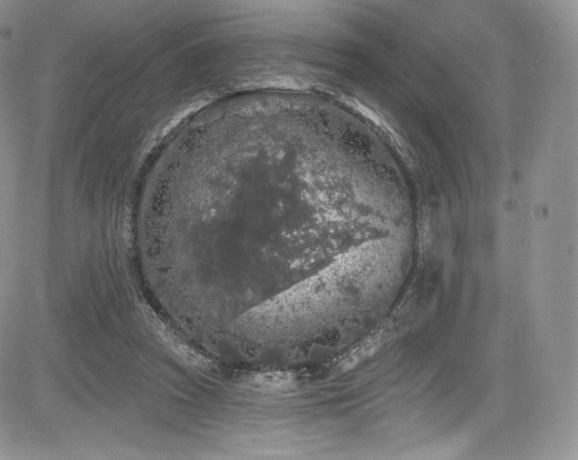 X0000085080353200703051439