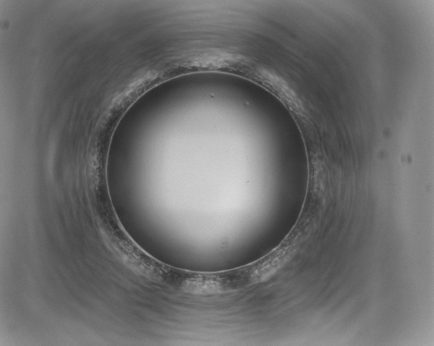 X0000085080354200703051439