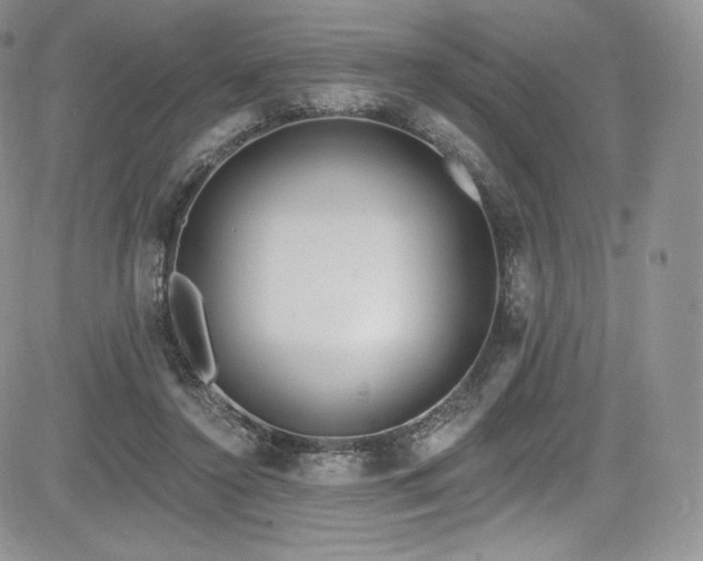 X0000085080356200703051439