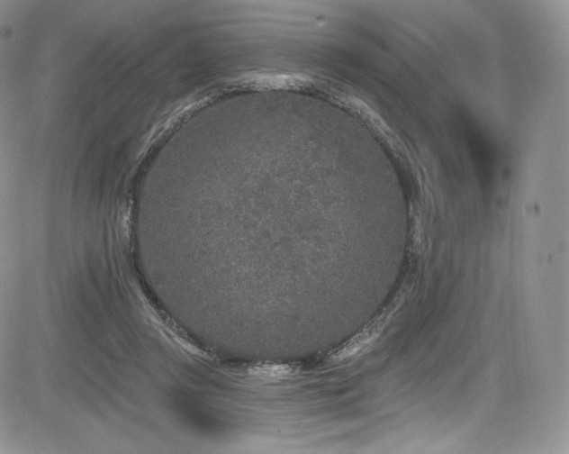 X0000085080357200703051439