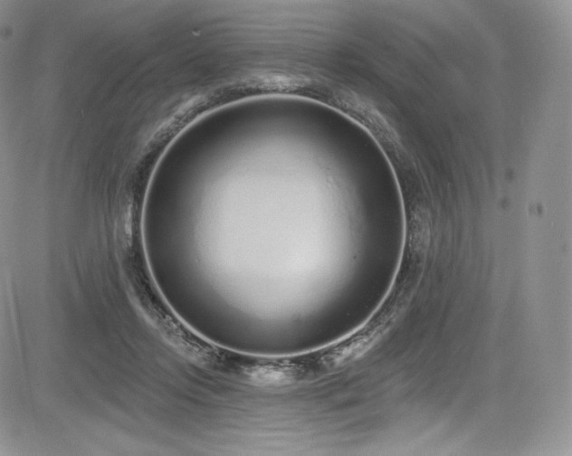 X0000085080358200703051439