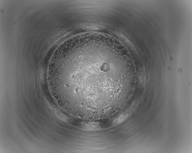 X0000085080359200703051439