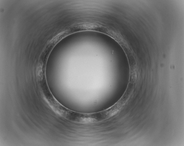 X0000085080360200703051439