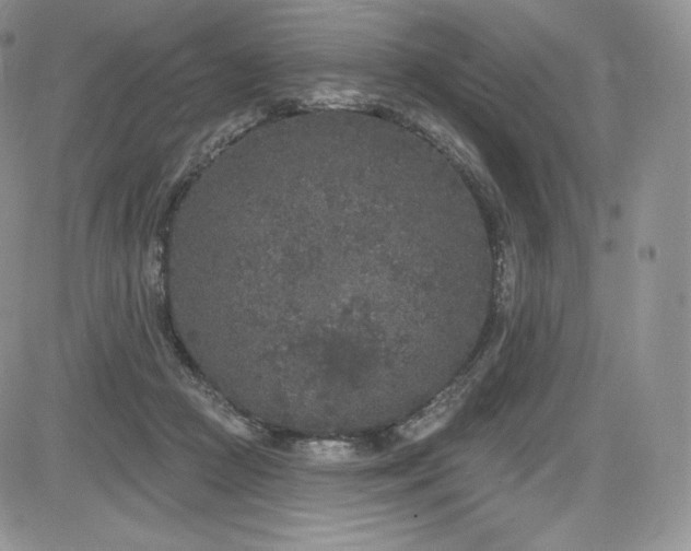 X0000085080361200703051439