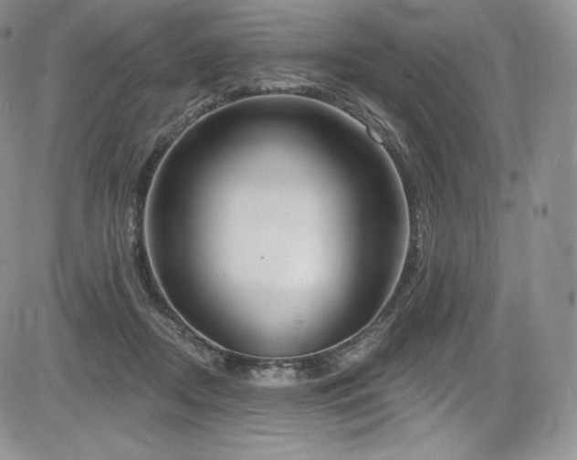 X0000085080362200703051439