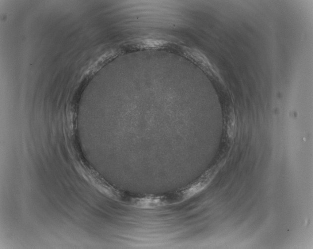 X0000085080366200703051439