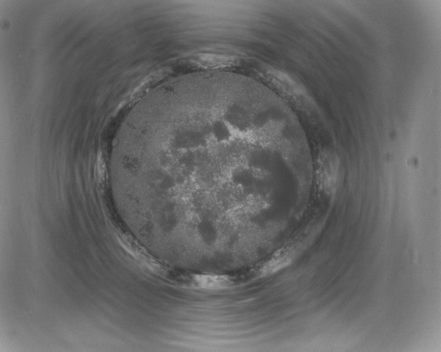 X0000085080371200703051440