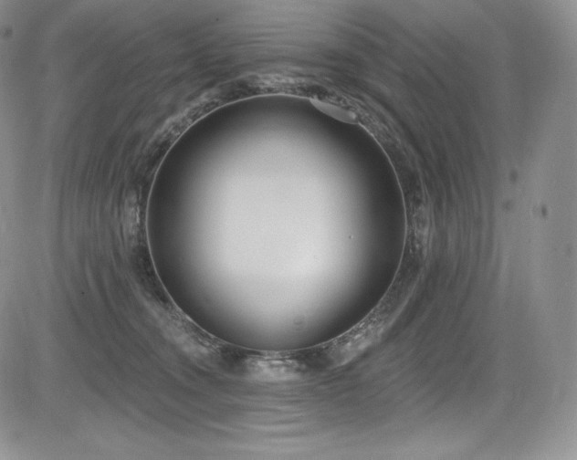 X0000085080372200703051440