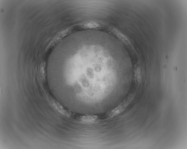 X0000085080373200703051440