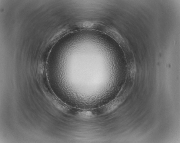 X0000085080374200703051440