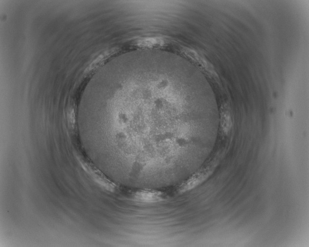 X0000085080375200703051440