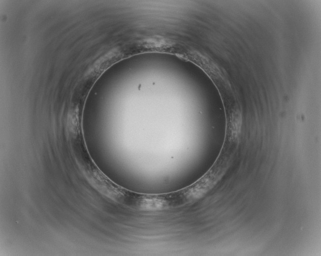 X0000085080376200703051440