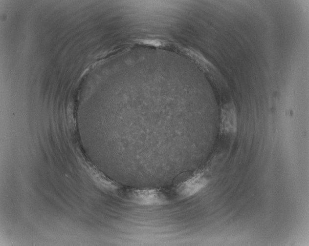 X0000085080377200703051440