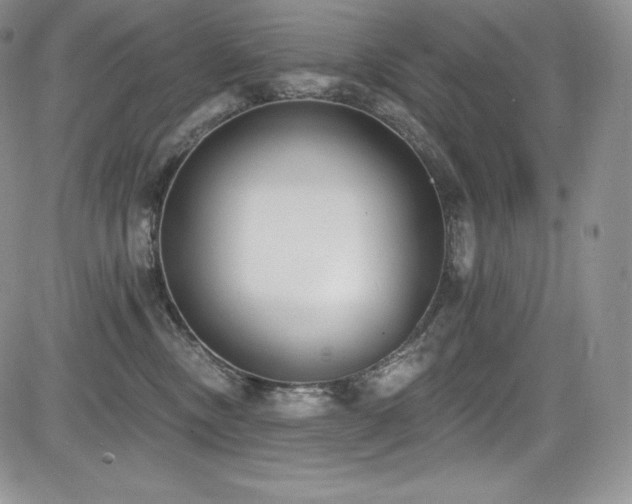 X0000085080378200703051440