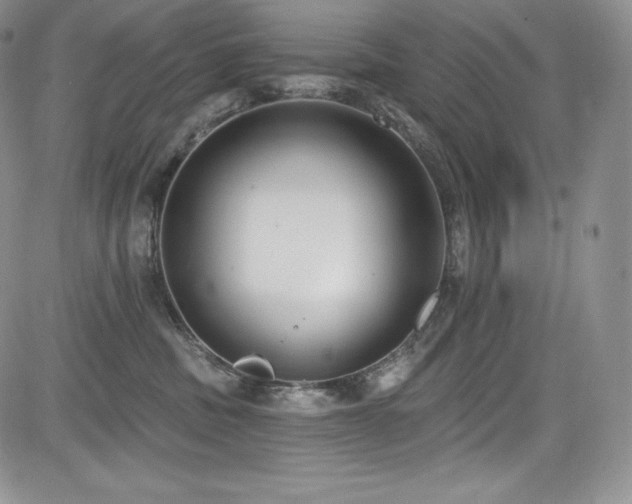 X0000085080379200703051440