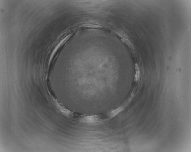 X0000085080382200703051440