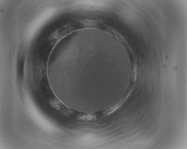 X0000085080383200703051440