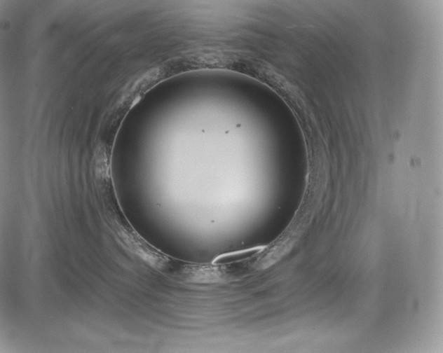 X0000085080384200703051440