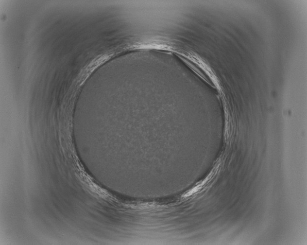 X0000085080385200703051439