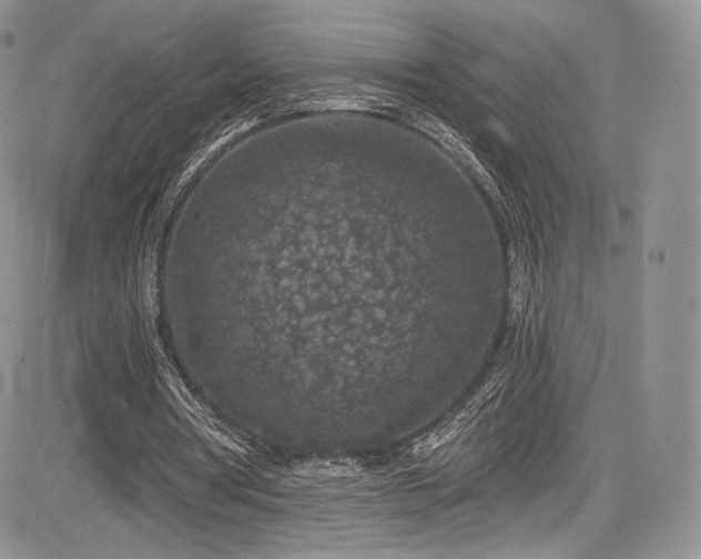 X0000085080386200703051439