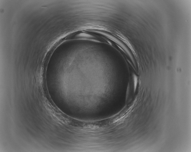 X0000085080387200703051439