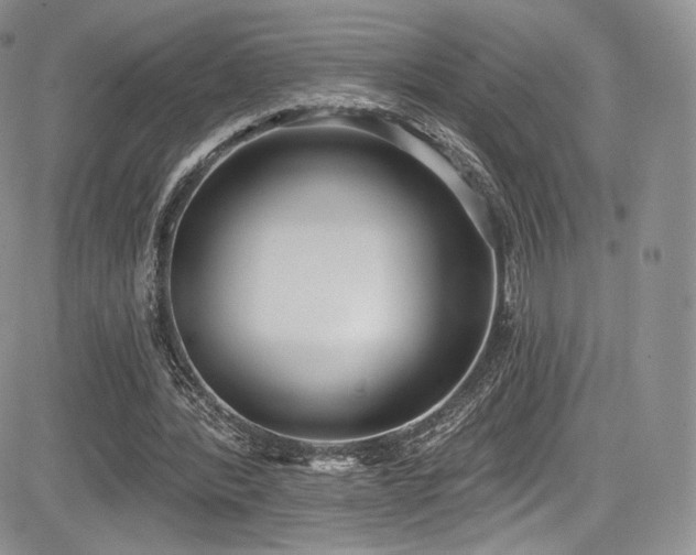 X0000085080388200703051439