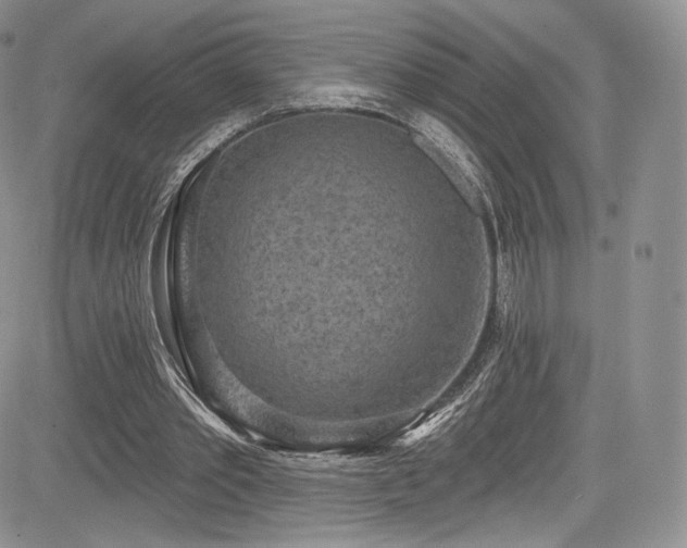 X0000085080389200703051439