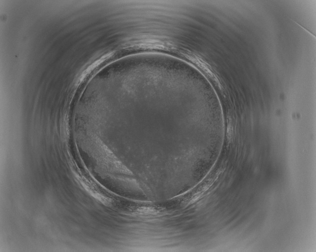 X0000085080390200703051439