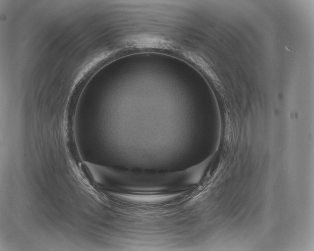 X0000085080391200703051439